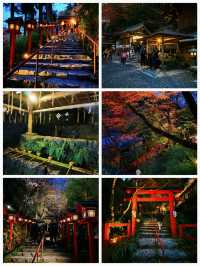 日本之旅·京都三千院、寶泉院、貴船…純玩一日遊攻略