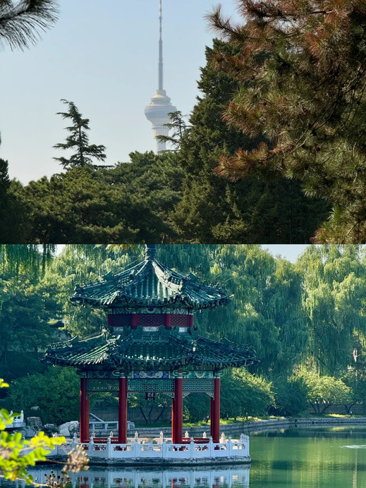 釣魚台國賓館🪭｜頂級中式美學｜Trip.com 北京