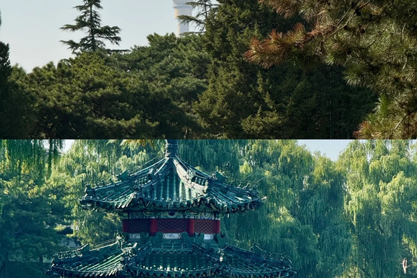 釣魚台國賓館🪭｜頂級中式美學｜Trip.com 北京