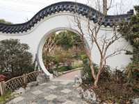 真如公園梅花景