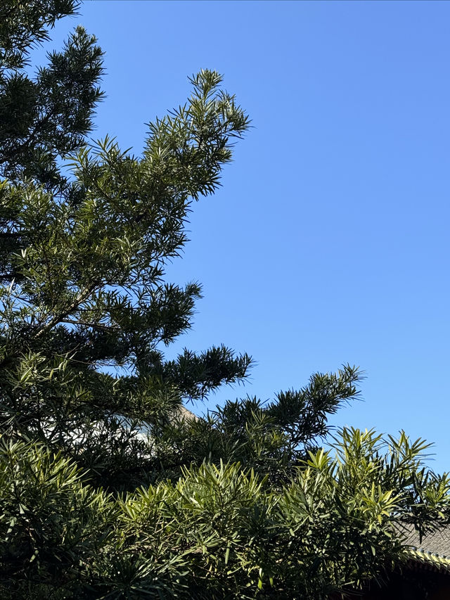 越來越好普陀山旅行攻略
