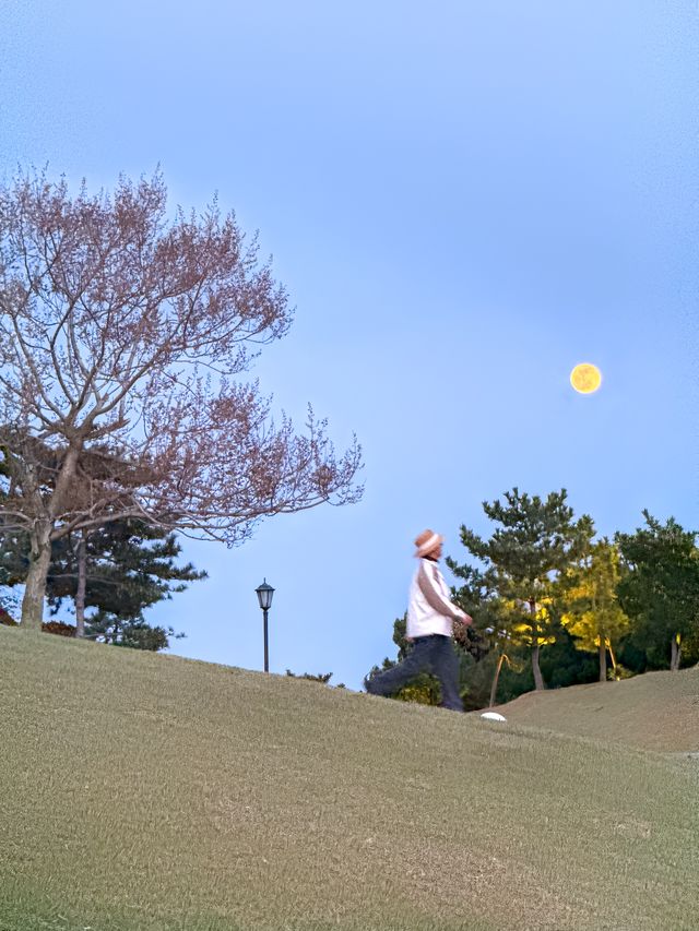 去小麥島擁抱大海啦