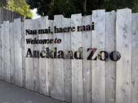 Auckland Zoo For Year Of the Snake, So Many Happy Animals!