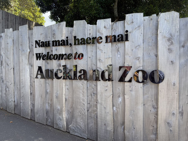 Auckland Zoo For Year Of the Snake, So Many Happy Animals!