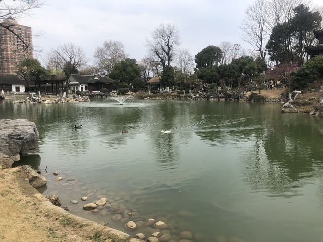 南京｜愚園的春天