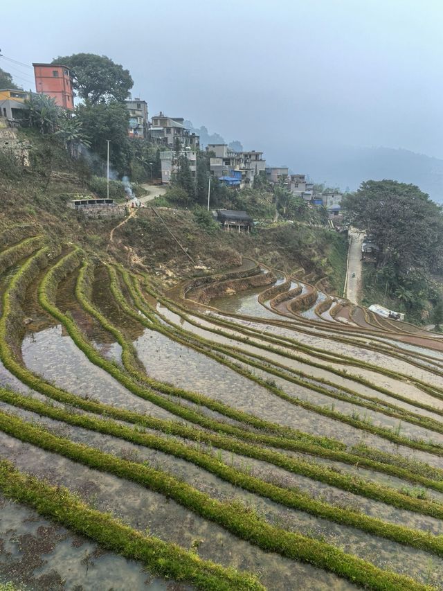 冬日雲南昆明-普者黑風景區7日遊 錯過你會後悔
