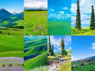 Jiabulake Grassland: A Paradise on Earth