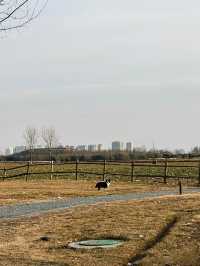 鍾意西安每個有陽光嘅日子