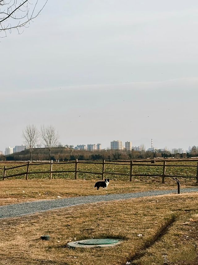 鍾意西安每個有陽光嘅日子 鍾意西安每個有陽光嘅日子