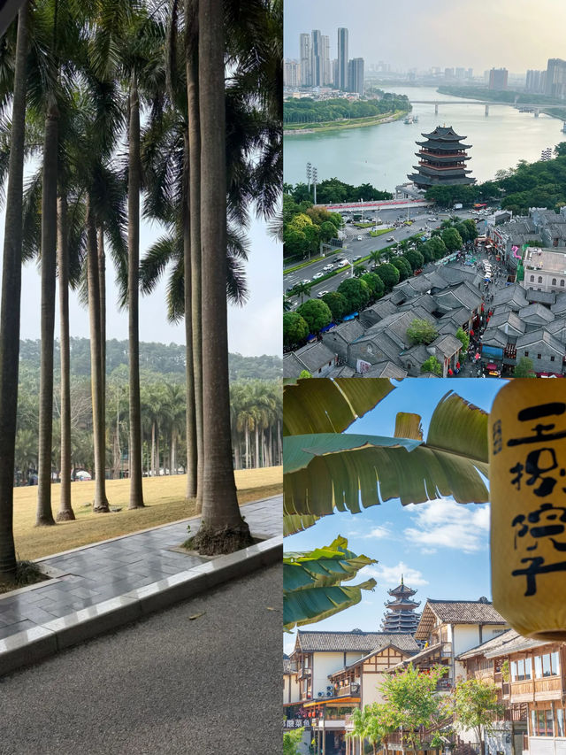 美麗的大南寧