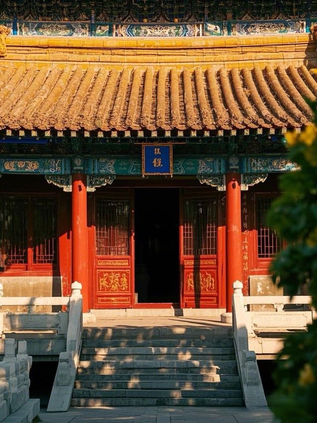 解鎖濮陽的魅力密碼：龍都與雜技之鄉！
