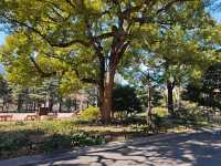 日比谷公園的 citywalk