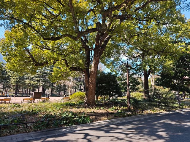日比谷公園的 citywalk