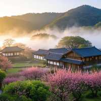 韓劇同款治癒秘境！光陽2天1夜深度攻略，邂逅夢幻浪漫