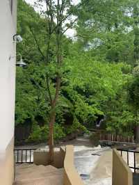 向野而生 •夏意 藏在紹興的staycation 天花板