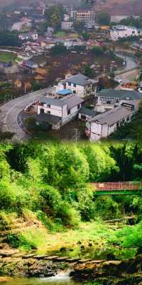 春日遠足攻略：12處綠色療癒之地，啟程上春山！