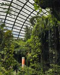 檳城蝴蝶公園—夢幻蝴蝶王國