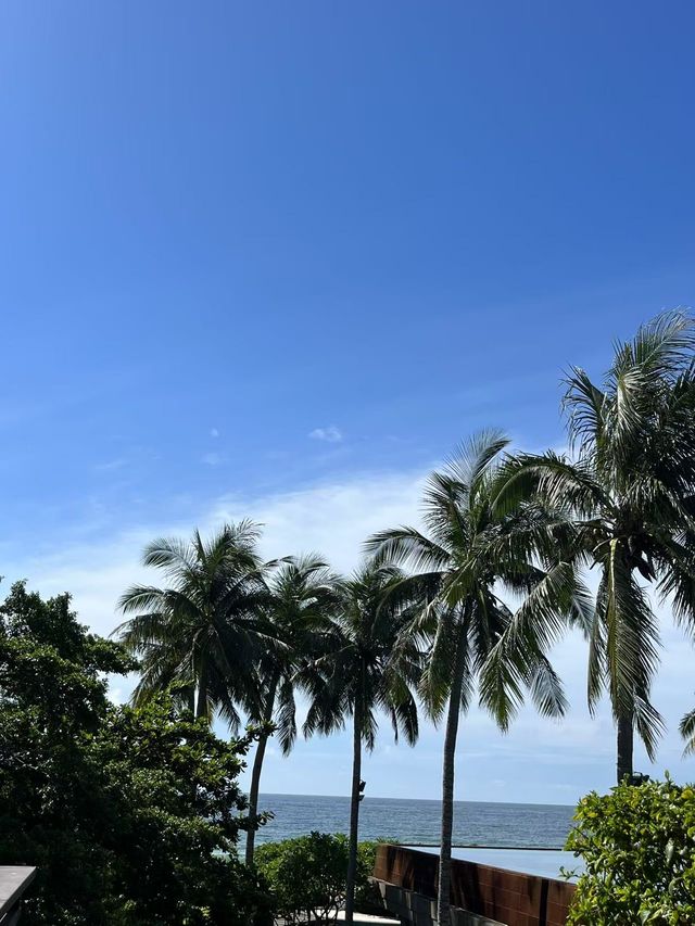 帶娃三亞已回全是乾貨，我的建議是……