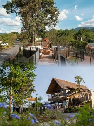 Lost in Khao Yai's Emerald Dream: A Magical Time at Malasa Khao Yai