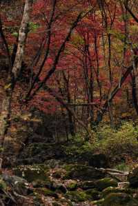 本溪關門山十月秋景