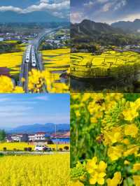 漢中已回，真不建議3-4月去，因為…