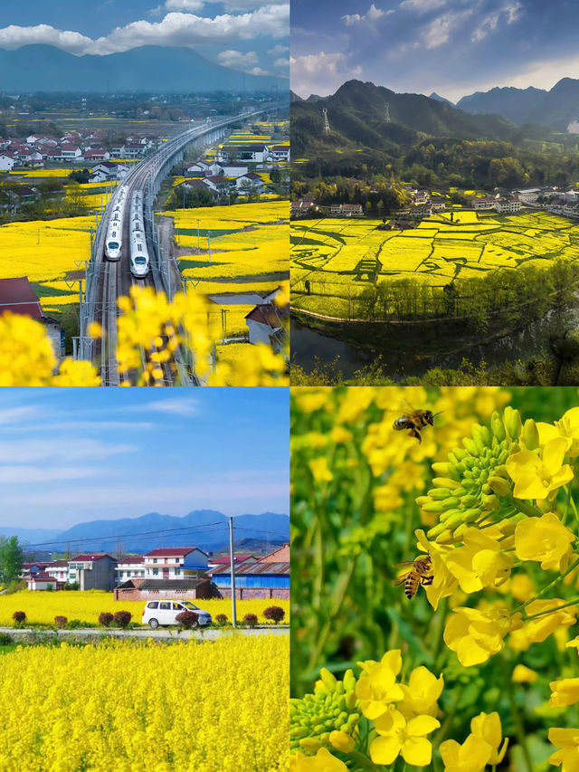 漢中已回，真不建議3-4月去，因為…