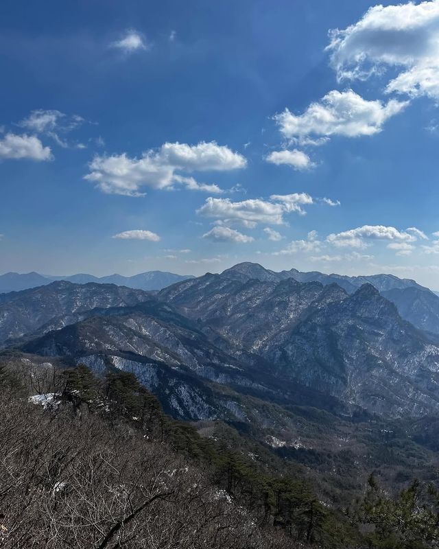 聞慶市竟然藏著韓國懸崖咖啡廳、粉色海洋、千年山城...