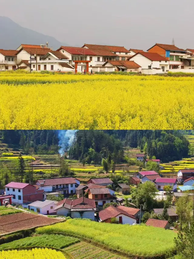 Hanzhong, Shaanxi/A Healing Journey to the Enchanting Bashan Mountains in March-April