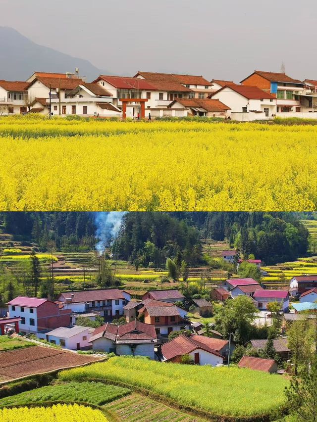 陝西漢中／3-4月來封神巴山秘境的治癒之旅