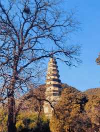 山東濟南，靈巖寺，
