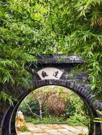 南岸區     下浩里（下浩老街）
