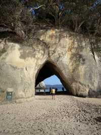 Heaven On Earth At The Coromandel, North Island NZ 