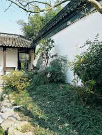 醉白池—松江小眾探尋春季之旅