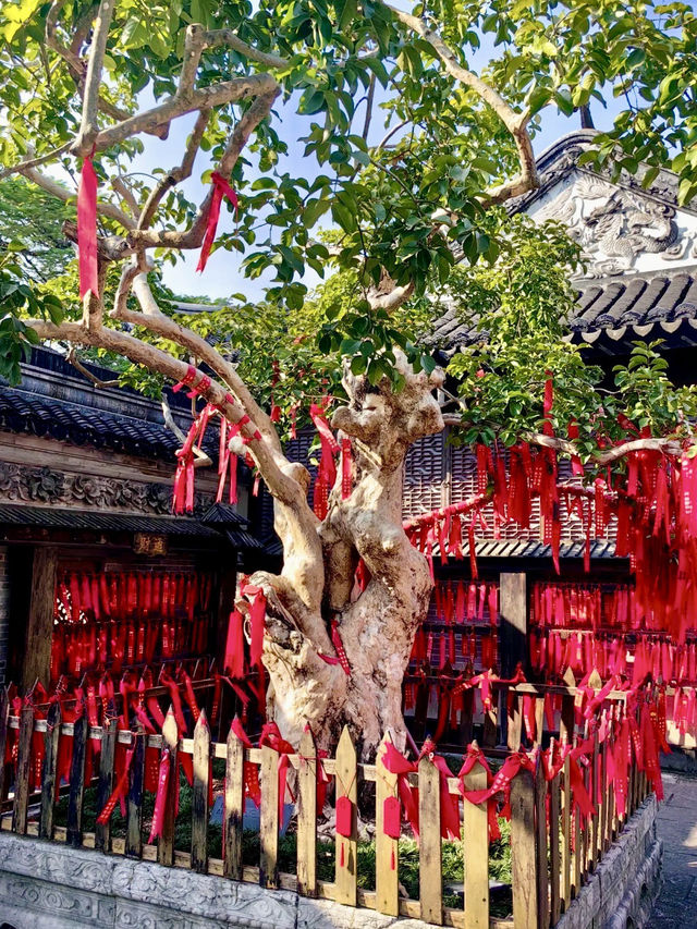 在庭院深深處尋找時光的痕跡