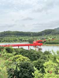 不在濟州島!在深圳光明☕
