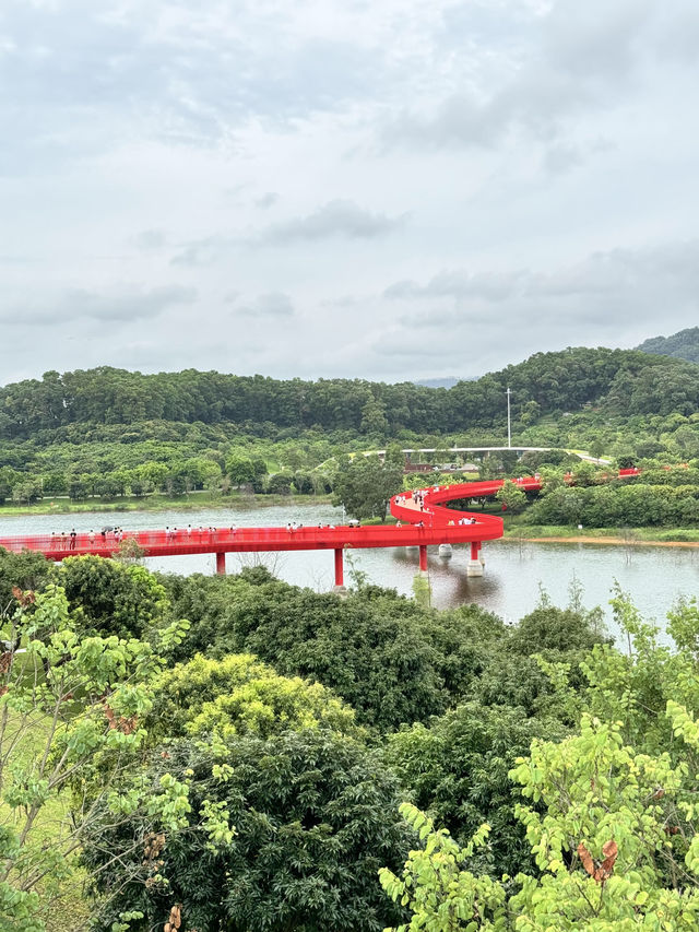 不在濟州島!在深圳光明☕ 不在濟州島!在深圳光明☕