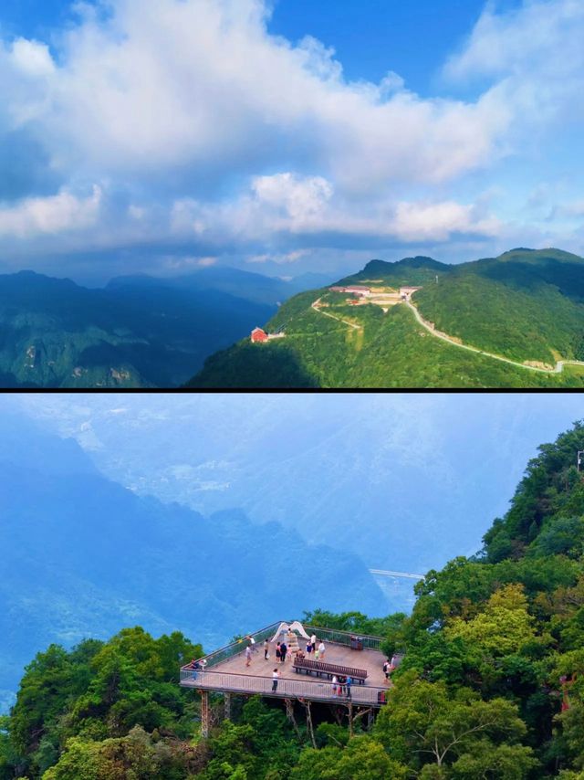 龍頭山雲端漫步｜被這處天然氧吧仙境種草了