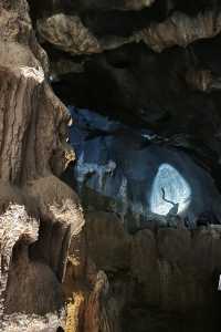 Discover Asia's First Rainforest Adventure Zoo in Singapore!