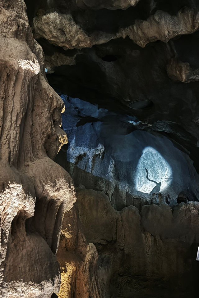 Discover Asia's First Rainforest Adventure Zoo in Singapore!