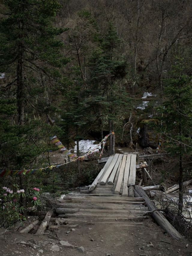 雲南香格里拉哈巴雪山與雨崩村徒步全攻略
