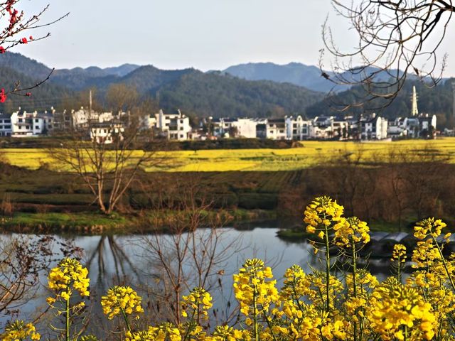 三月底婺源油菜花旅遊攻略