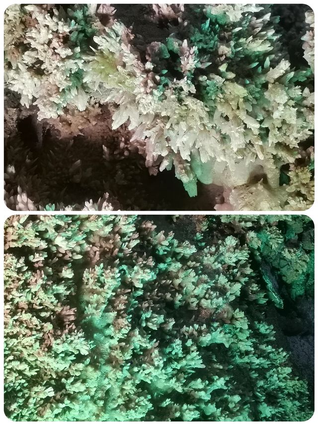 儋州石花水洞探秘，神奇的地下仙境簡直美呆了
