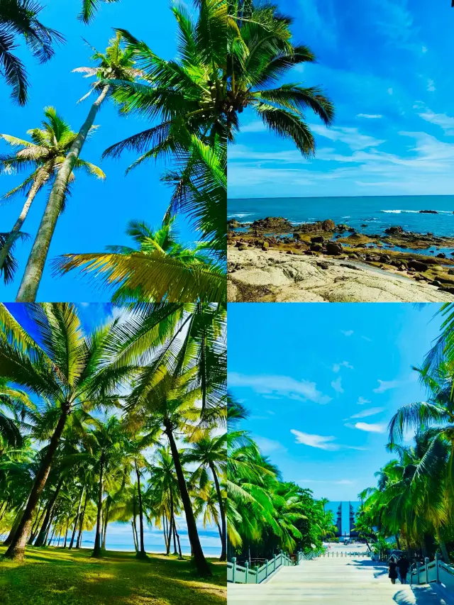 ว่านหนิงเต็มไปด้วยความโรแมนติกของฤดูร้อน