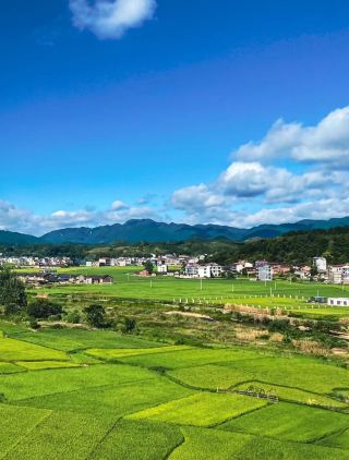 Shangbao Ancient Kingdom: The Mysterious Ancient Village of the Thousand-Year-Old Miao Territory