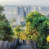 深圳淘金山綠道：穿梭綠道山林，一日徒步攬勝