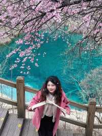 暴走3萬步！九寨溝一日遊保姆級時間線