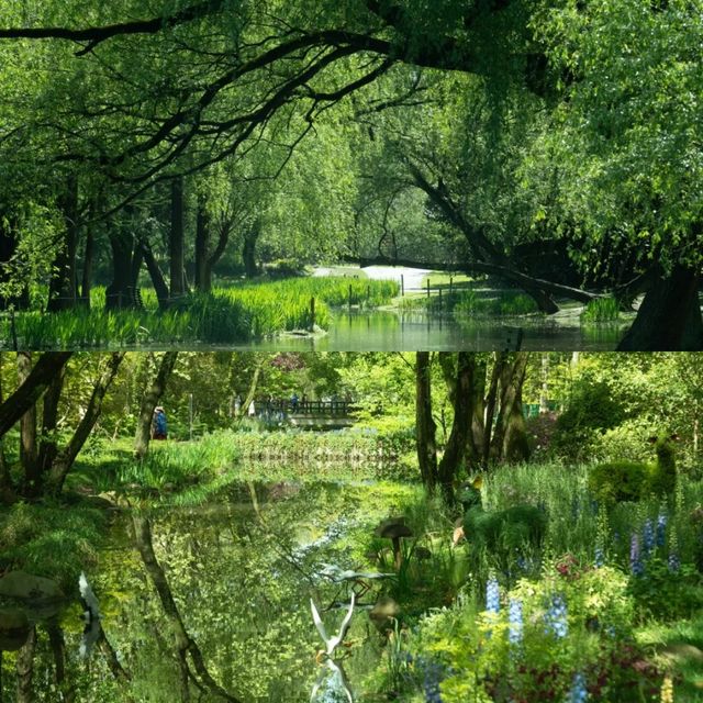 共青森林公園 現實版莫奈花園攻略來啦