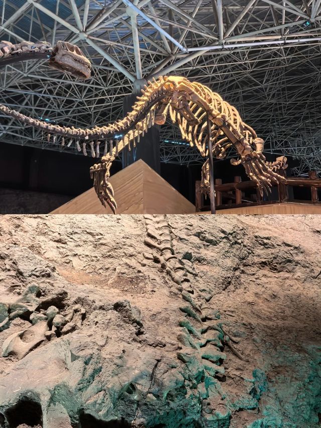 恐龍谷奇遇：一次與史前巨獸的邂逅