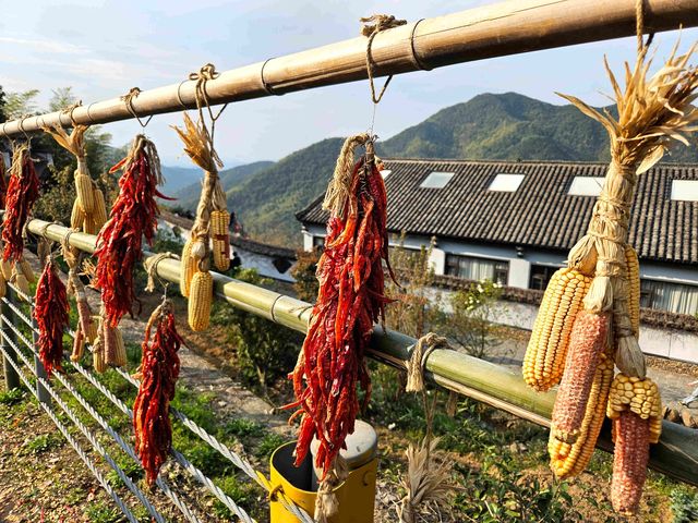 覆卮山千年梯田—大地上的金色詩行