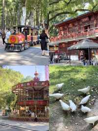 武漢親子遊：中山公園遊樂全攻略